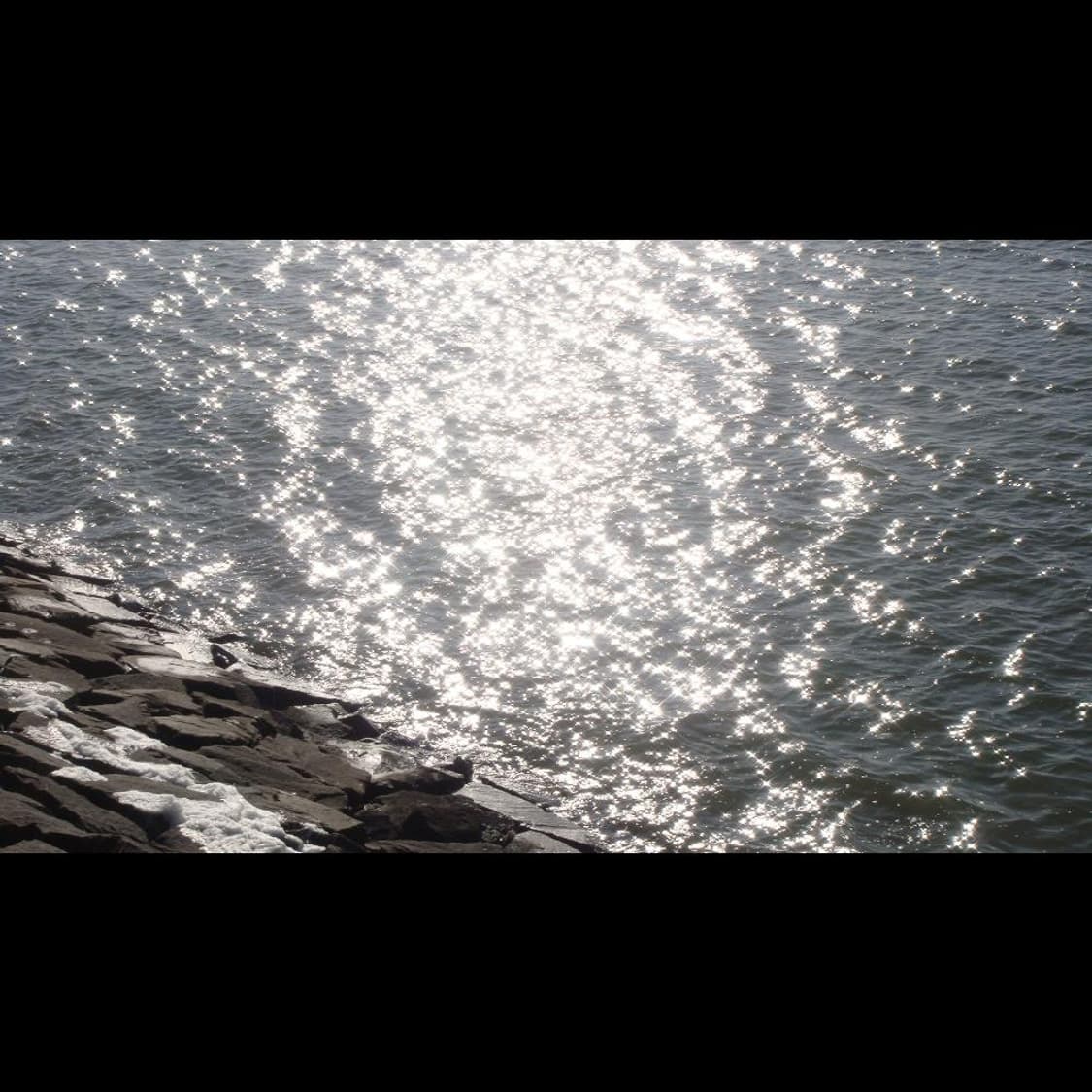 작례⭕️ 소니 사이버샷 DSC-T77  상품이미지5