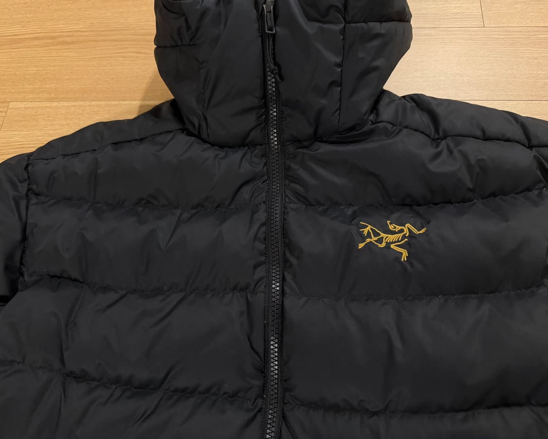 아크테릭스 토륨 AR 24k 블랙 M 상품이미지2