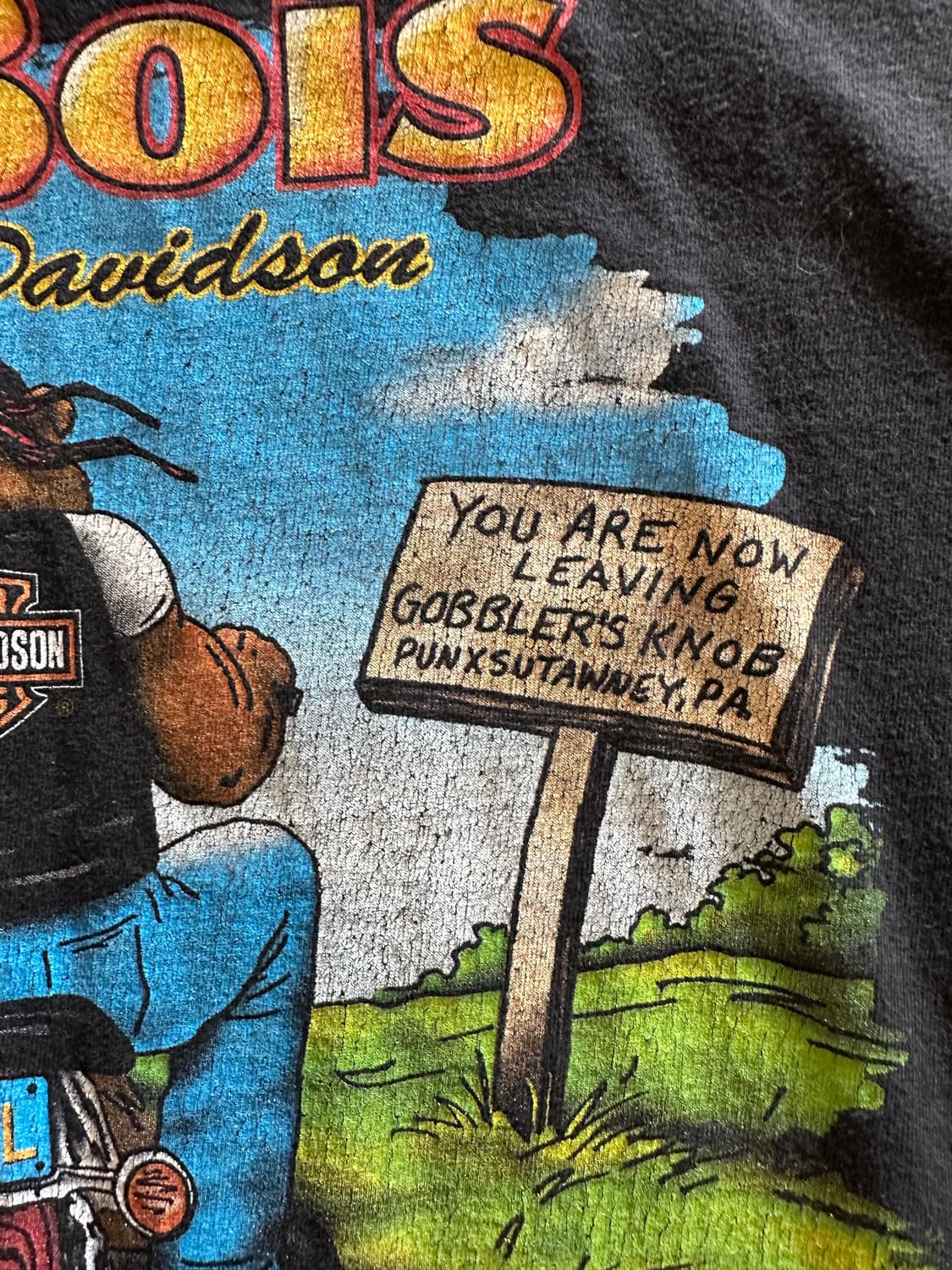 00s harley DuBois Punxsutawney Phil 상품이미지8