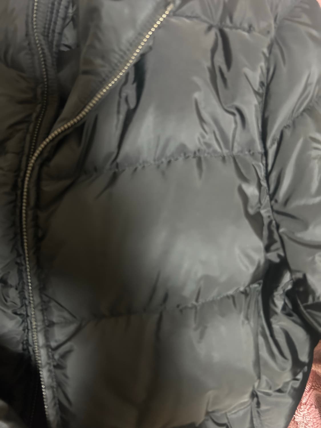 프라다 삼각 로고 패딩 남성 46 상품이미지2