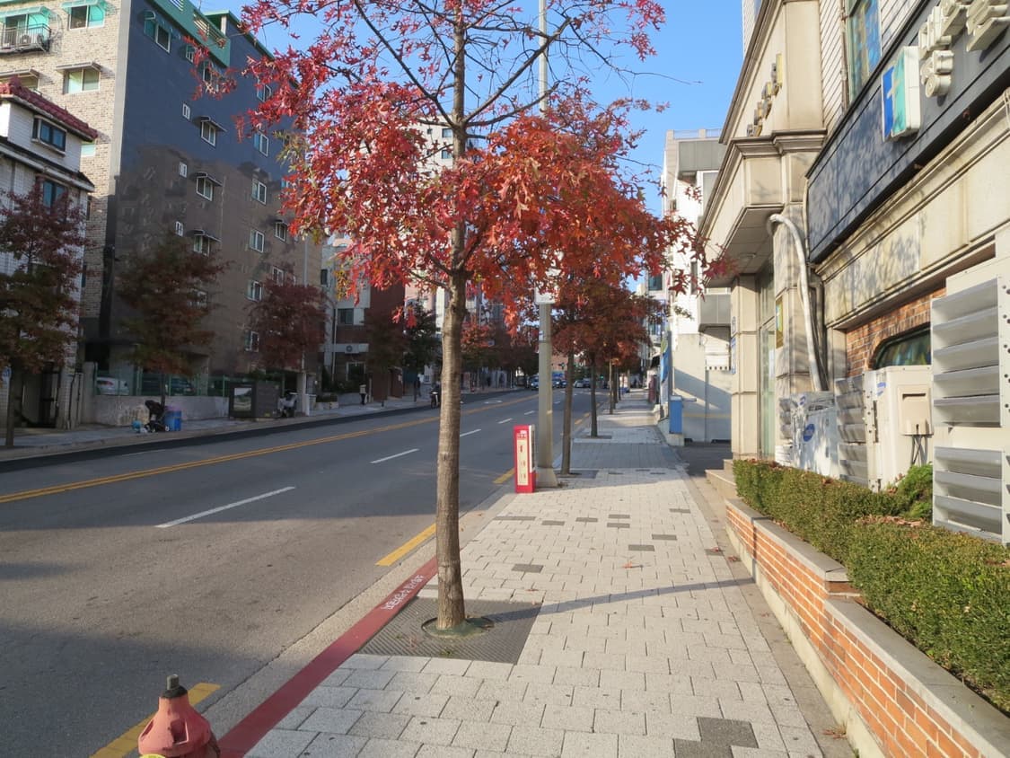 캐논 ixy 110f 디카 (빈티지 카메라) 상품이미지9