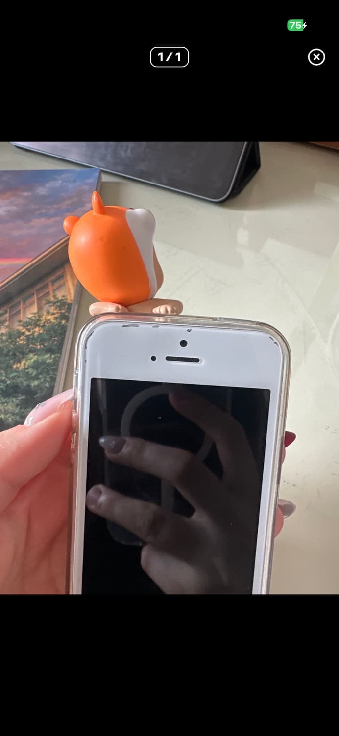 아이폰se (실버) 상품이미지4