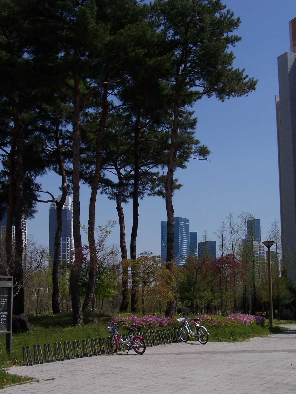 코닥 CX7525 빈티지 디카 상품이미지10