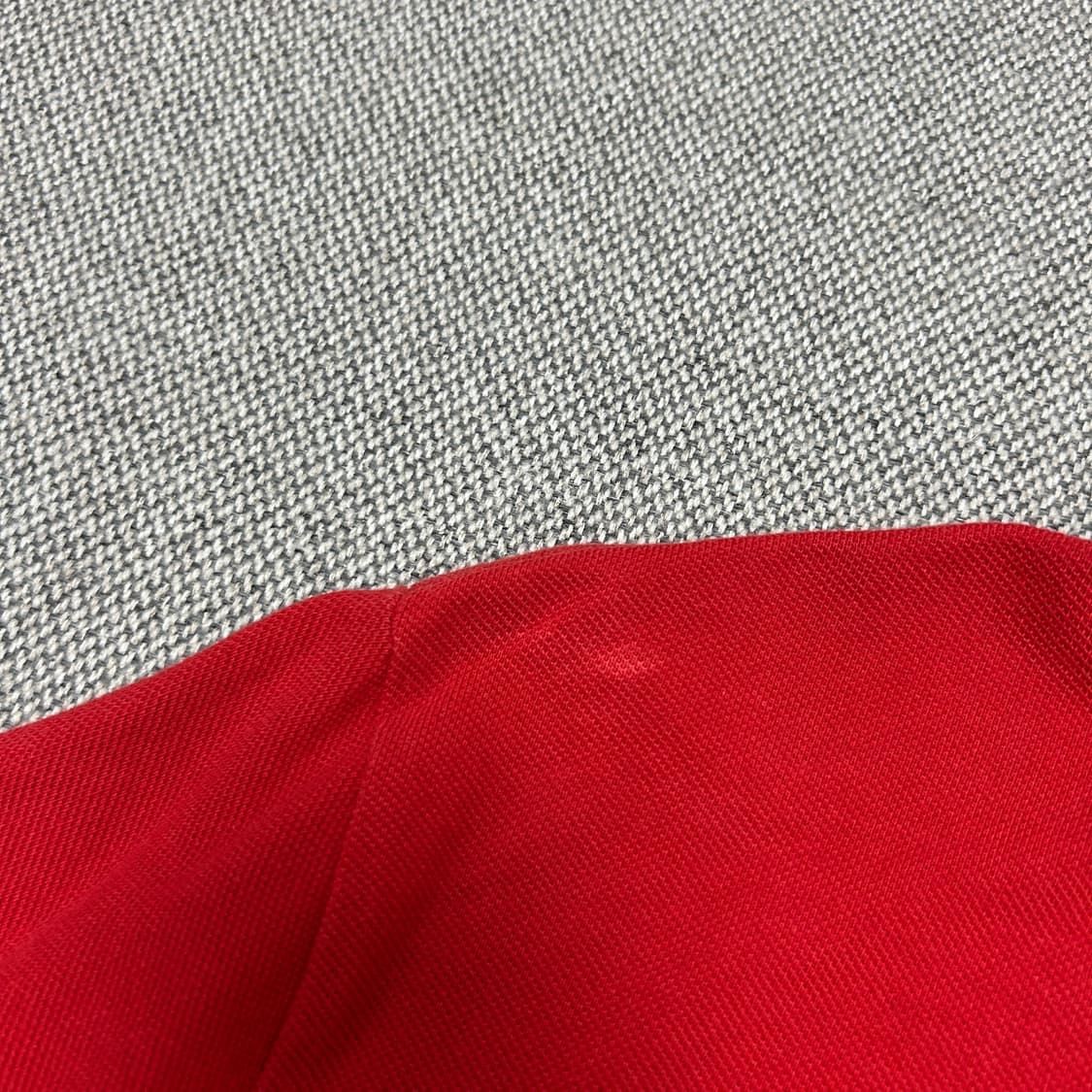 폴로 치프키프 영국 빅포니 카라티(M) 상품이미지7
