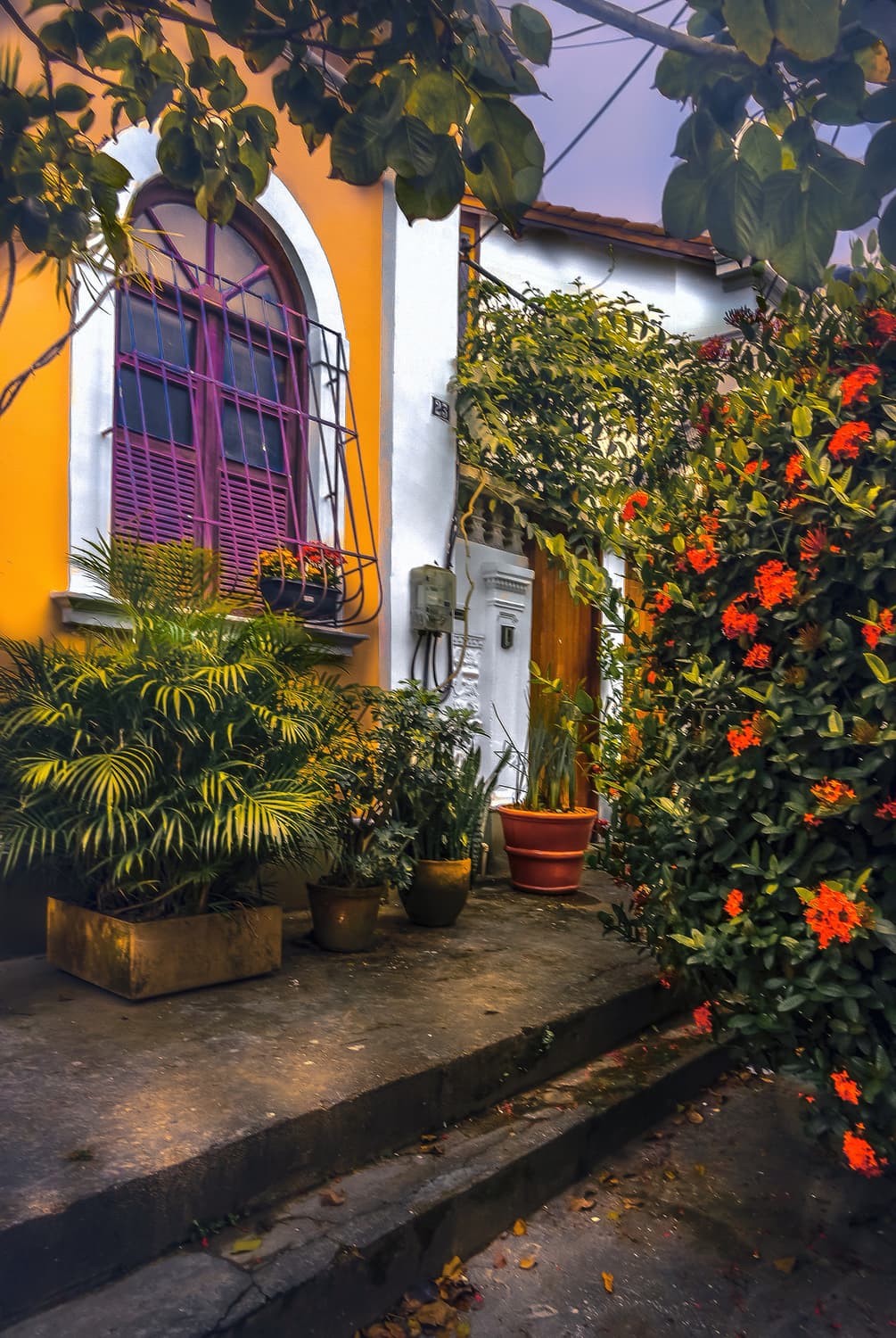 셀카) samsung nx mini 삼성 한효주 디카 미러리스 상품이미지9