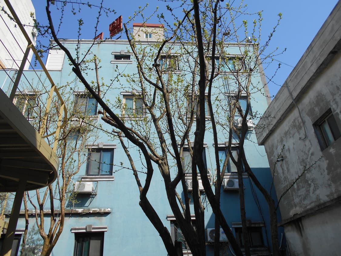 (작례!)Nikon Coolpix L32 디카 상품이미지5