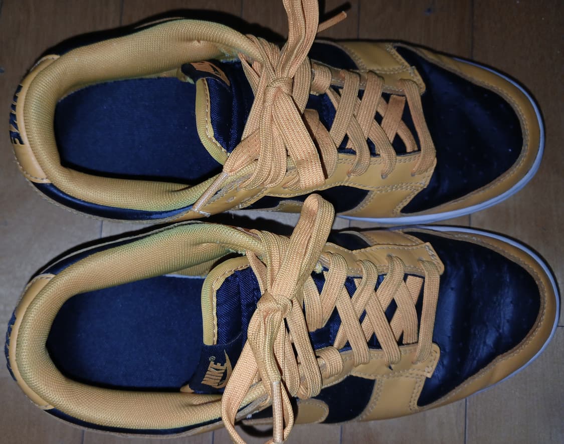 나이키 덩크로우 골드로드 270 상품이미지4