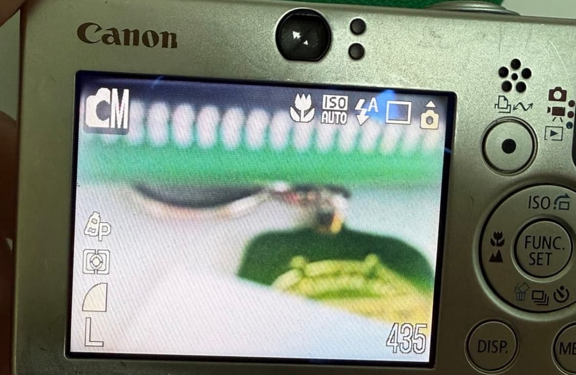 canon ixy 10 ( ixus 70 ) 캐논 익서스 70 상품이미지3