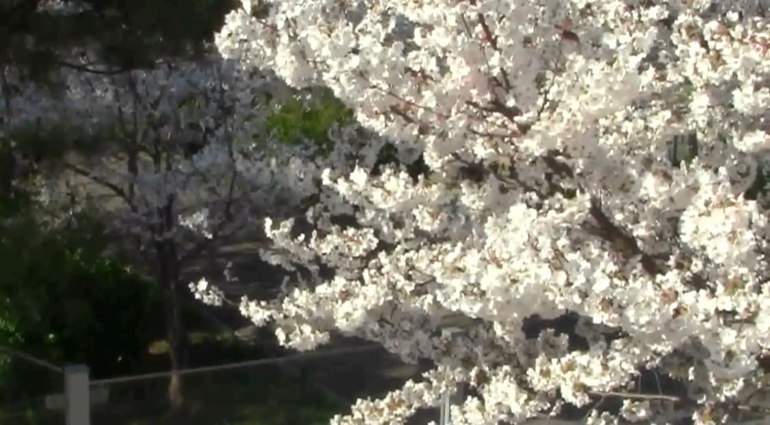 캐논 Canon ivis HF R10 캠코더 (작례포함) 상품이미지4