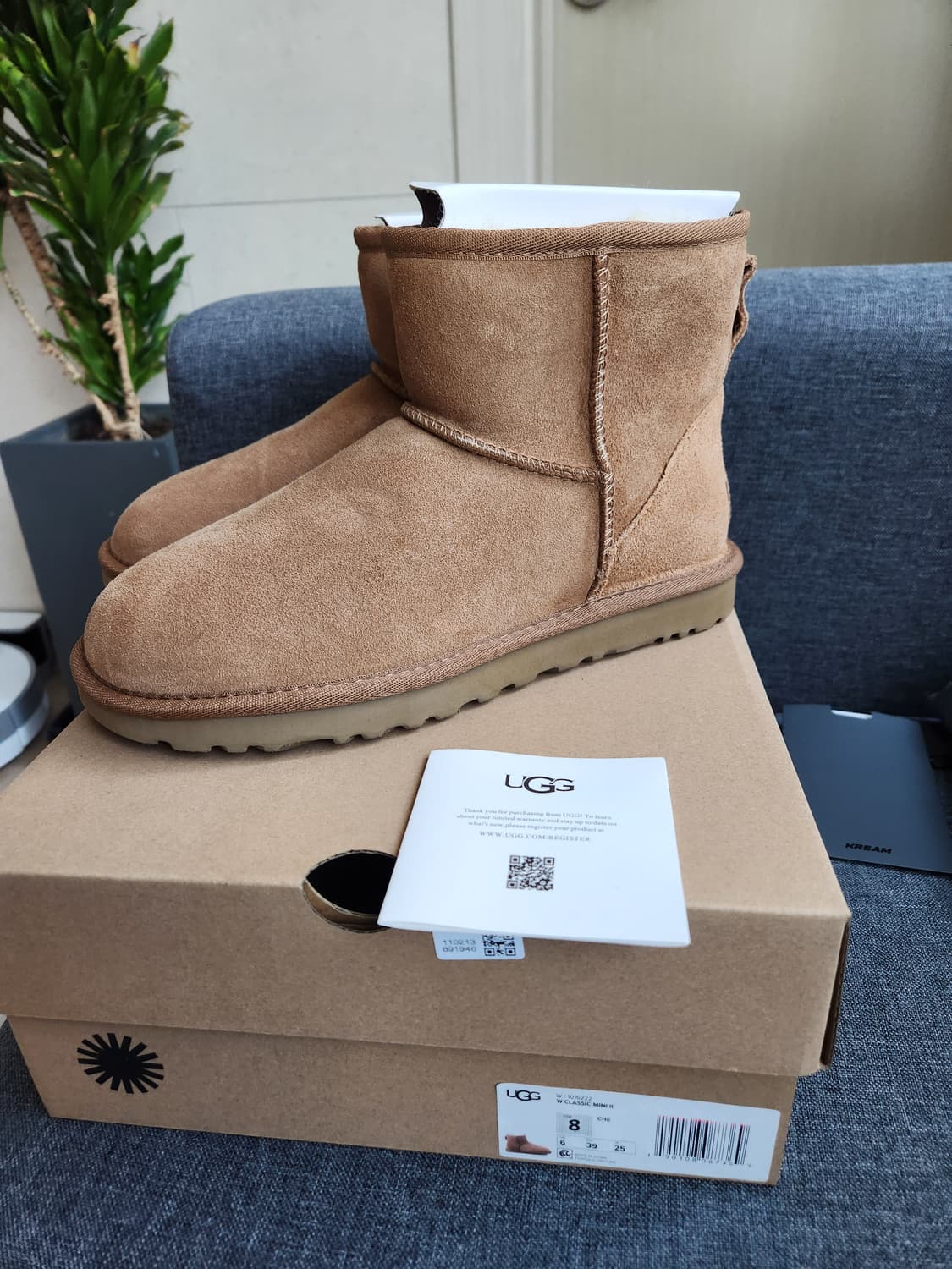 어그 클래식 미니2 체스넛트 US8W 사이즈 새상품 상품이미지1