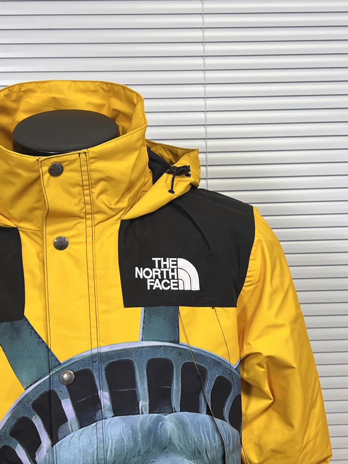 슈프림 x 노스페이스 자유의 여신상 발토로 자켓 옐로우 상품이미지5
