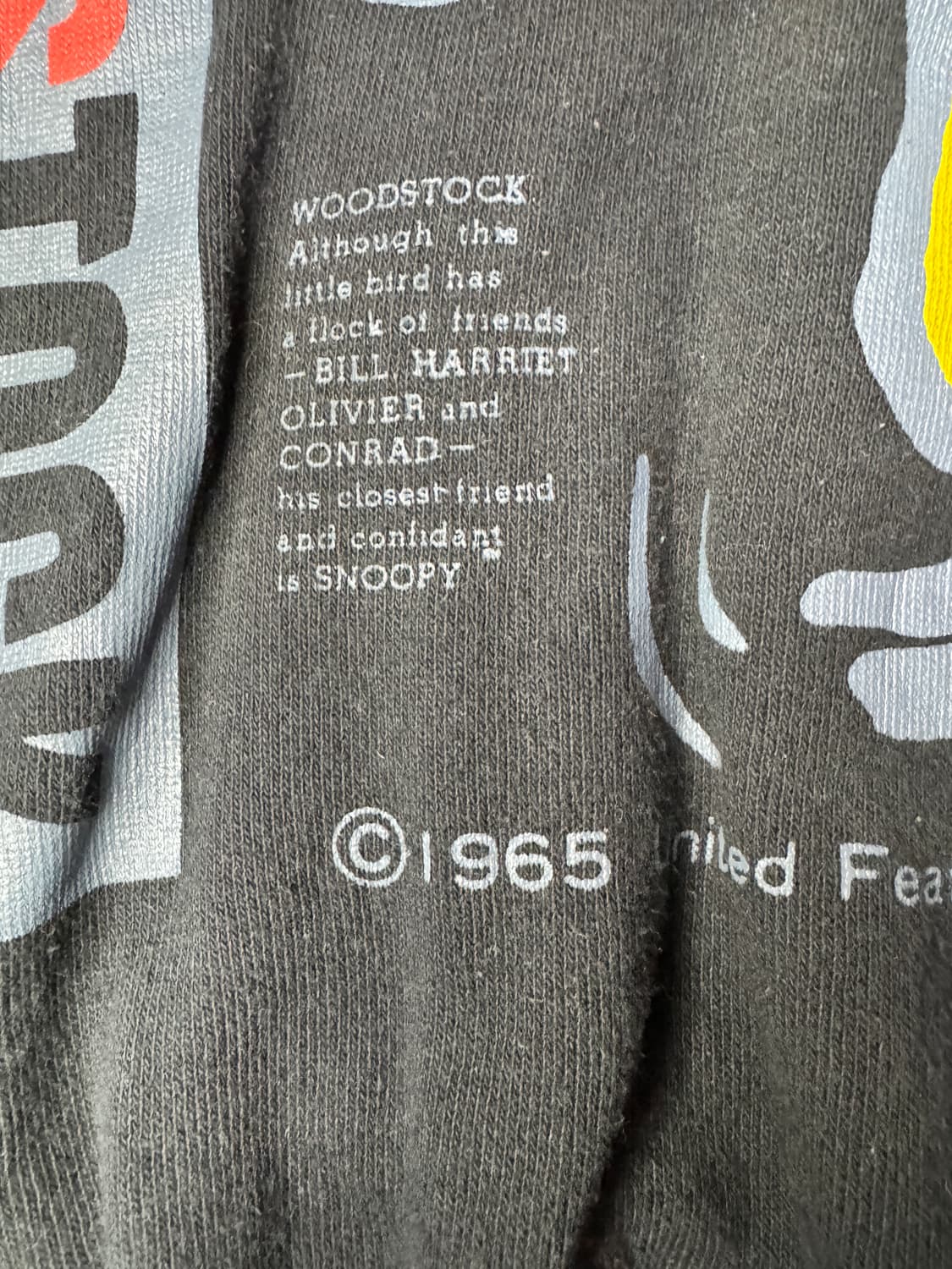 빈티지 90s 피너츠 PEANUTS 우드스톡 WOODSTOCK 맨투맨 F 상품이미지4