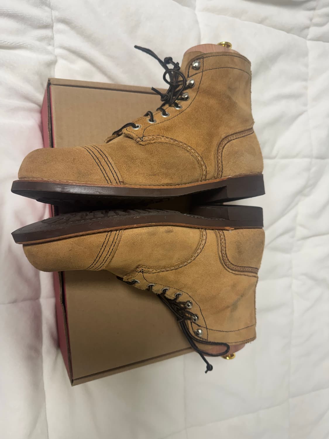 레드윙 8083 8.5 EE 팩토리세컨 상품이미지6