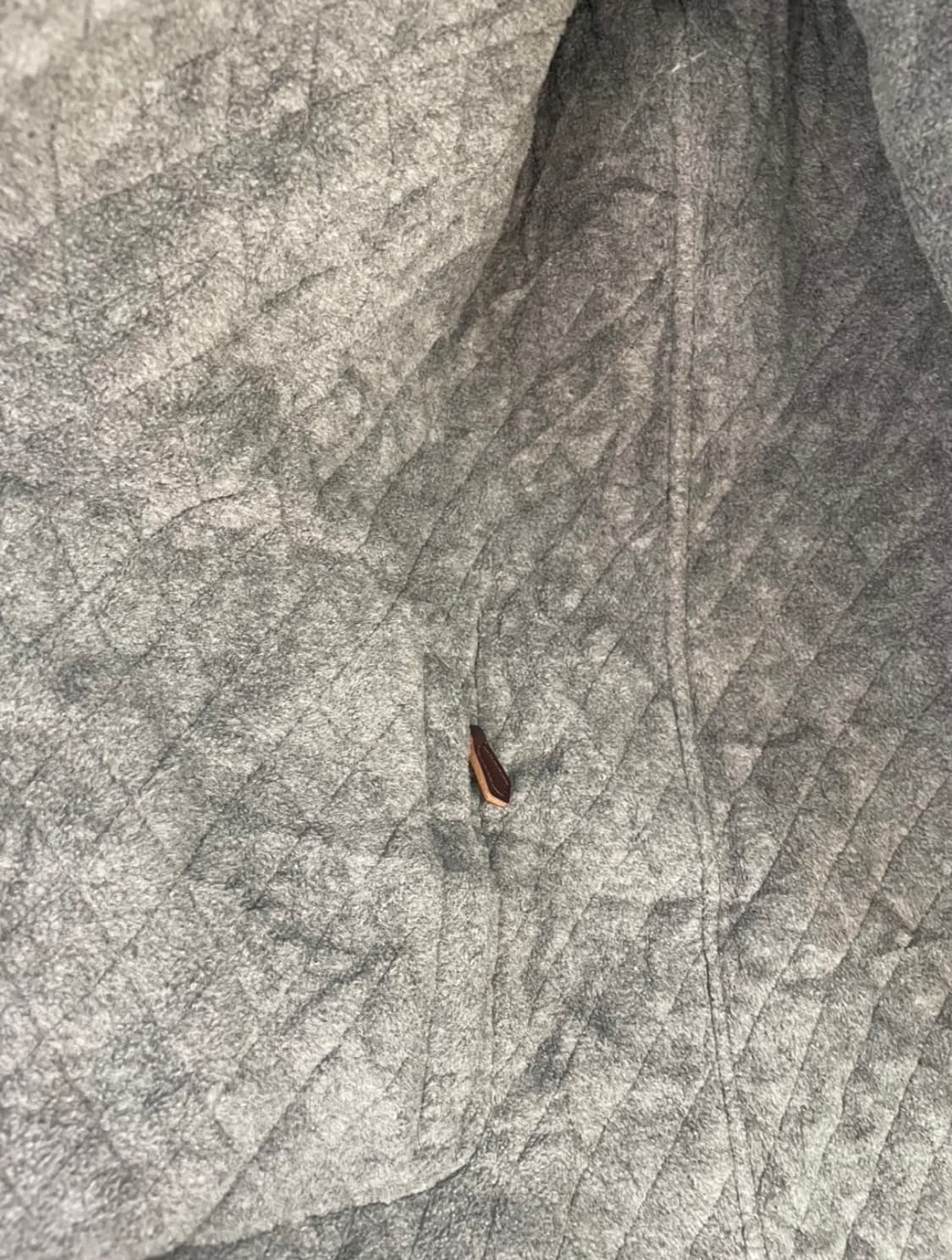 London Fog 퀼팅 자켓 상품이미지4