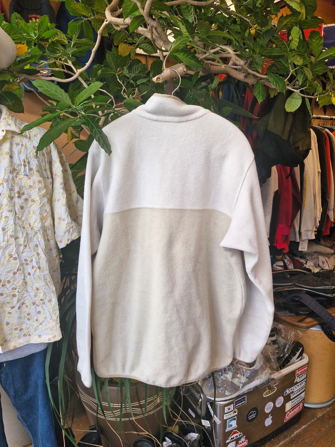 Z-290 파타고니아 신칠라  상품이미지2