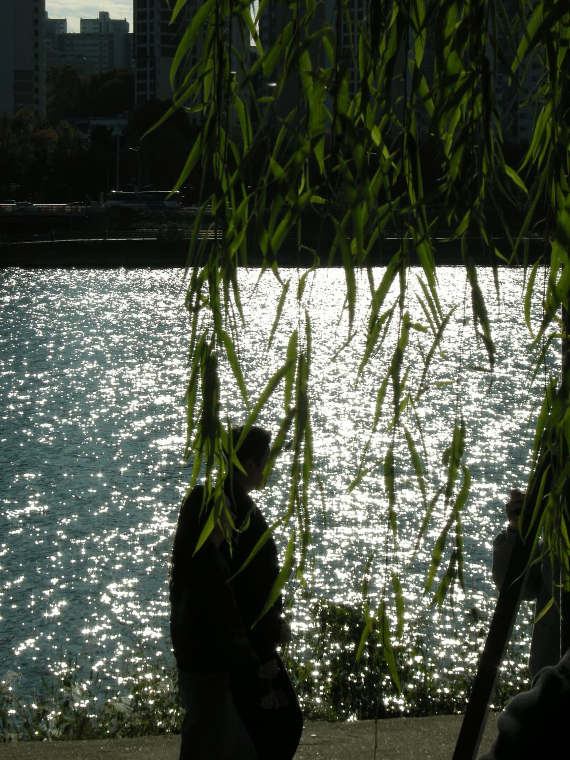 니콘 coolpix P5000 (작례O) 상품이미지3