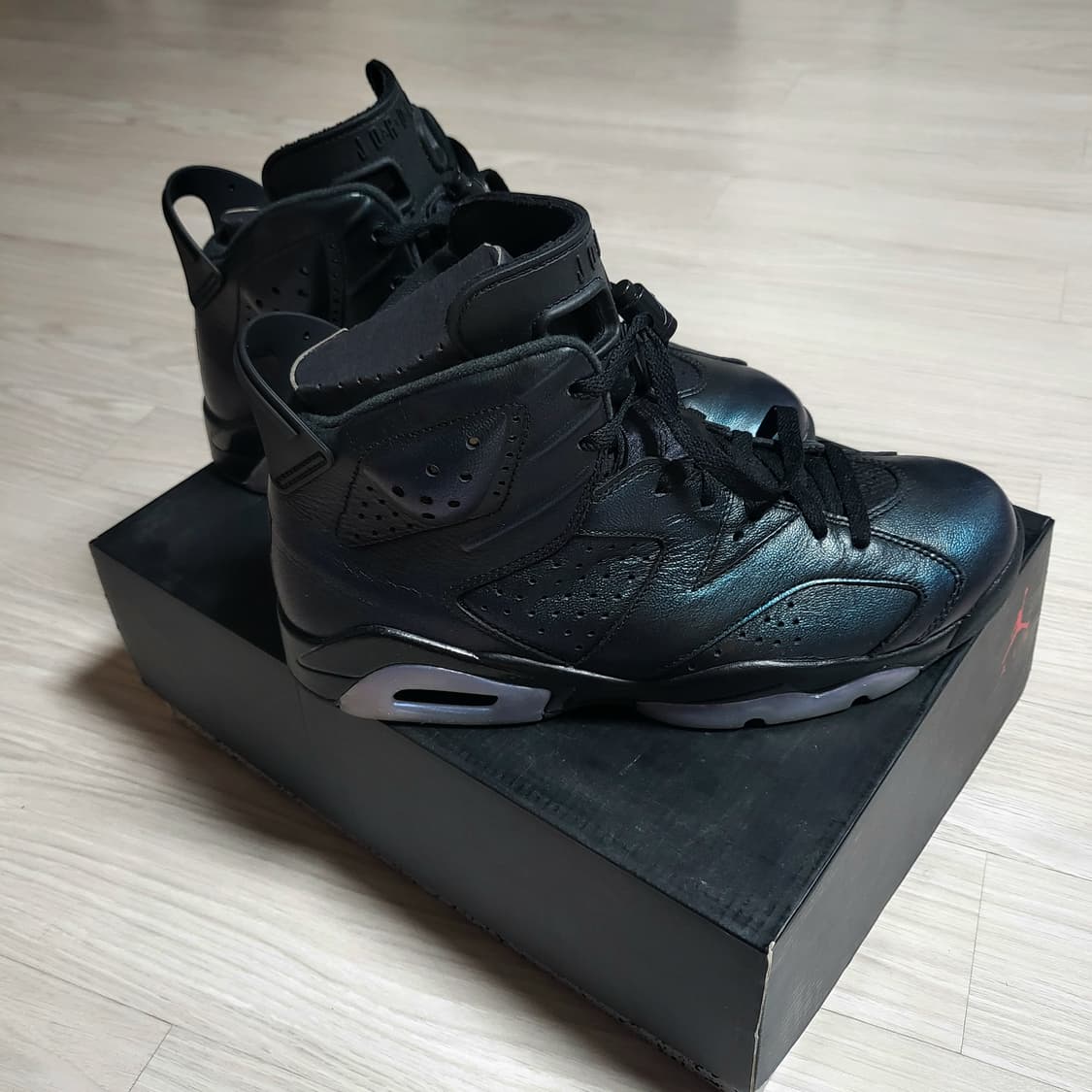 나이키 조던6 레트로 카멜레온(270) 상품이미지4