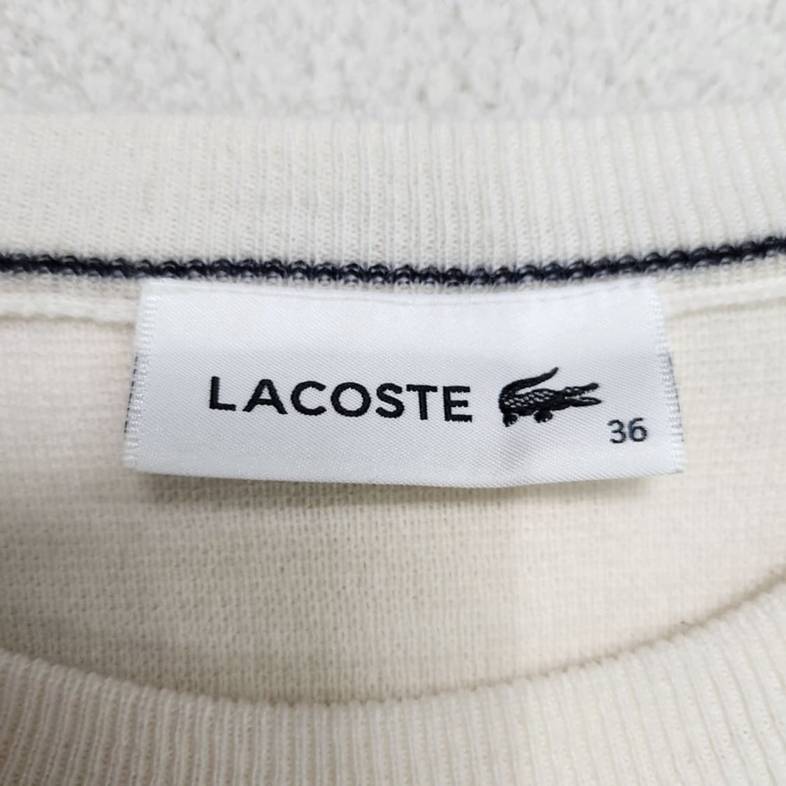 LACOSTE 크루넥 스웨터 니트 Women 36 상품이미지5