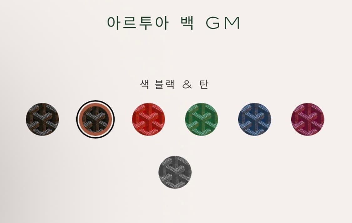 goyard 아르투아 백 gm  상품이미지2