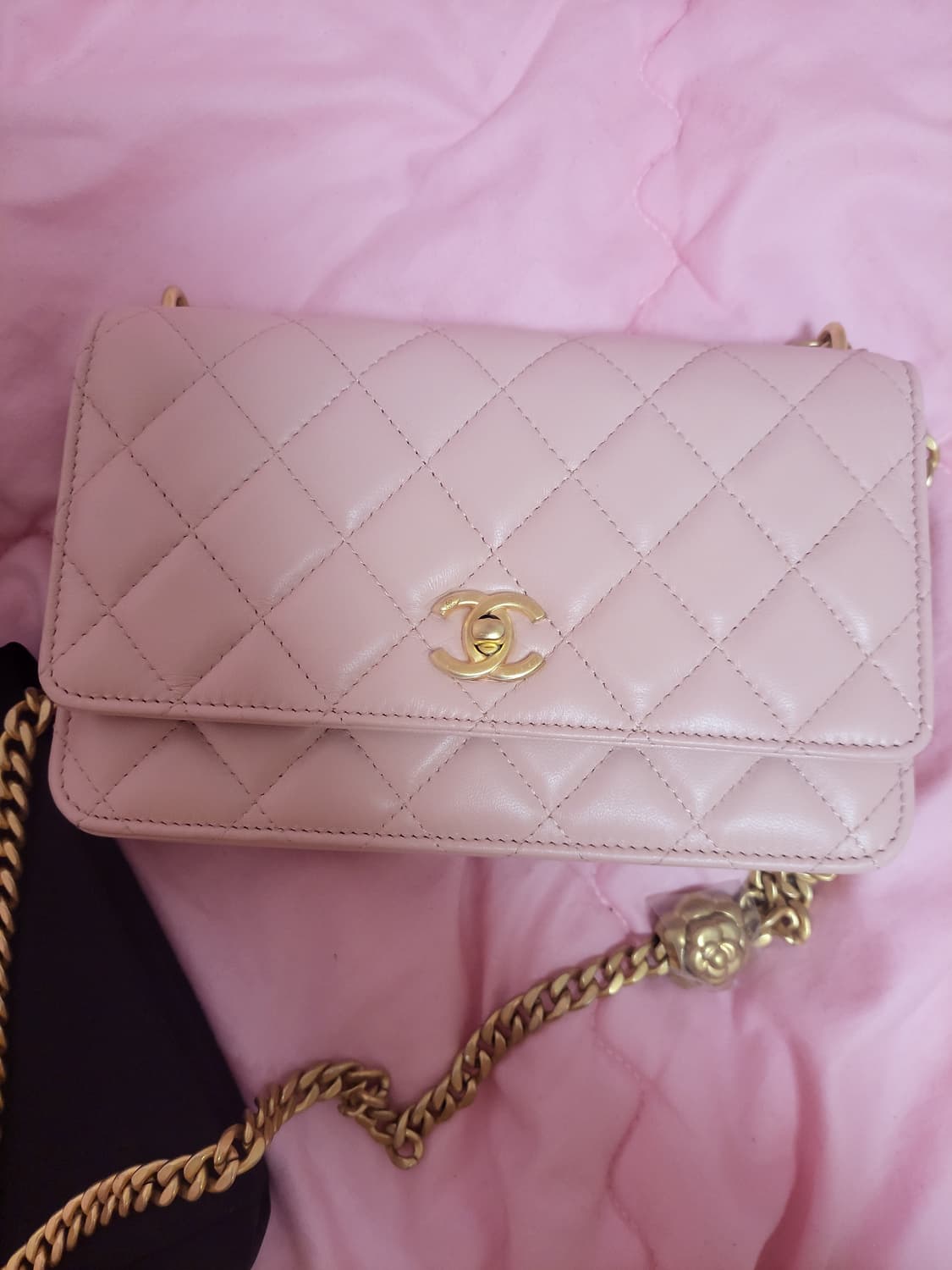 정품)급처미사용새상품!샤넬 핑크 까멜리아 골든볼 WOC크로스숄더백공주가방 상품이미지9