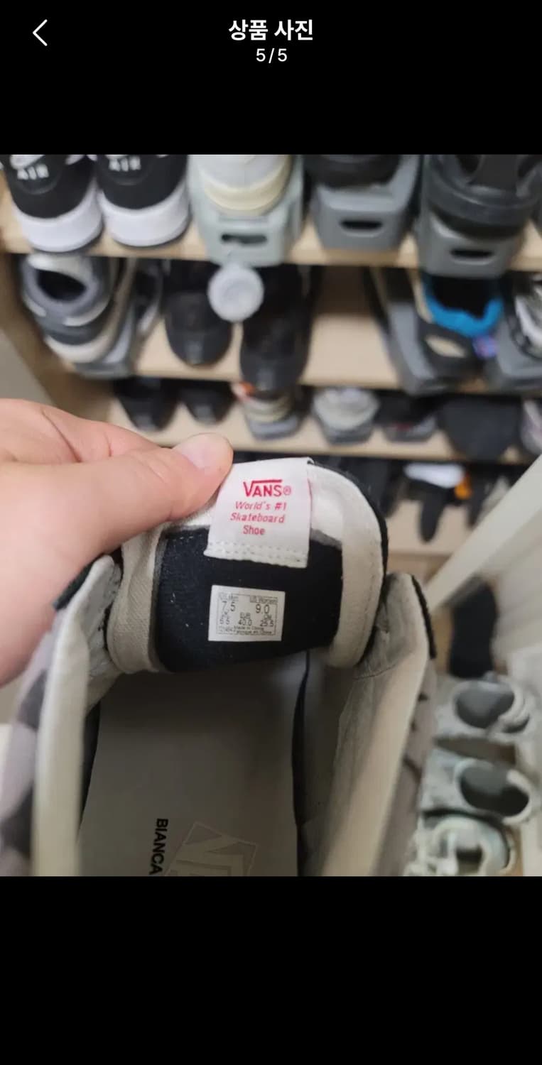 반스 볼트 X 비앙카 샹동 스케이트 하이 리이슈 상품이미지5