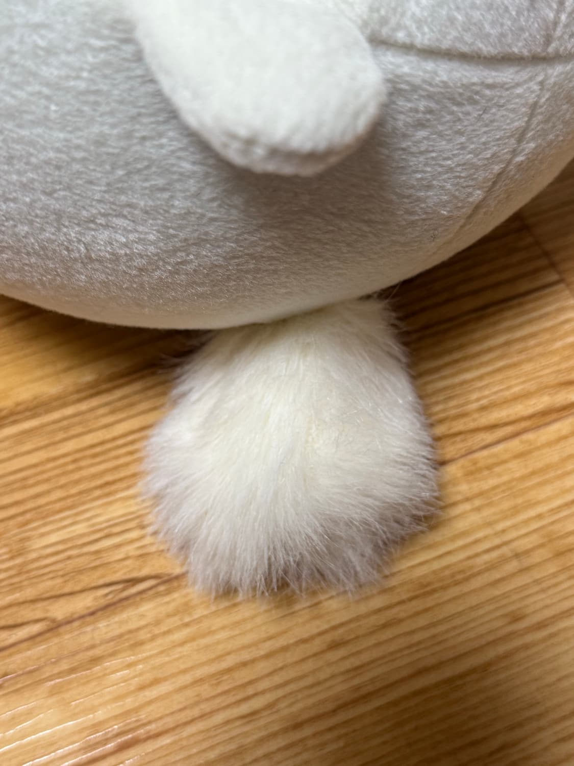 코리락쿠마 네코 상품이미지2