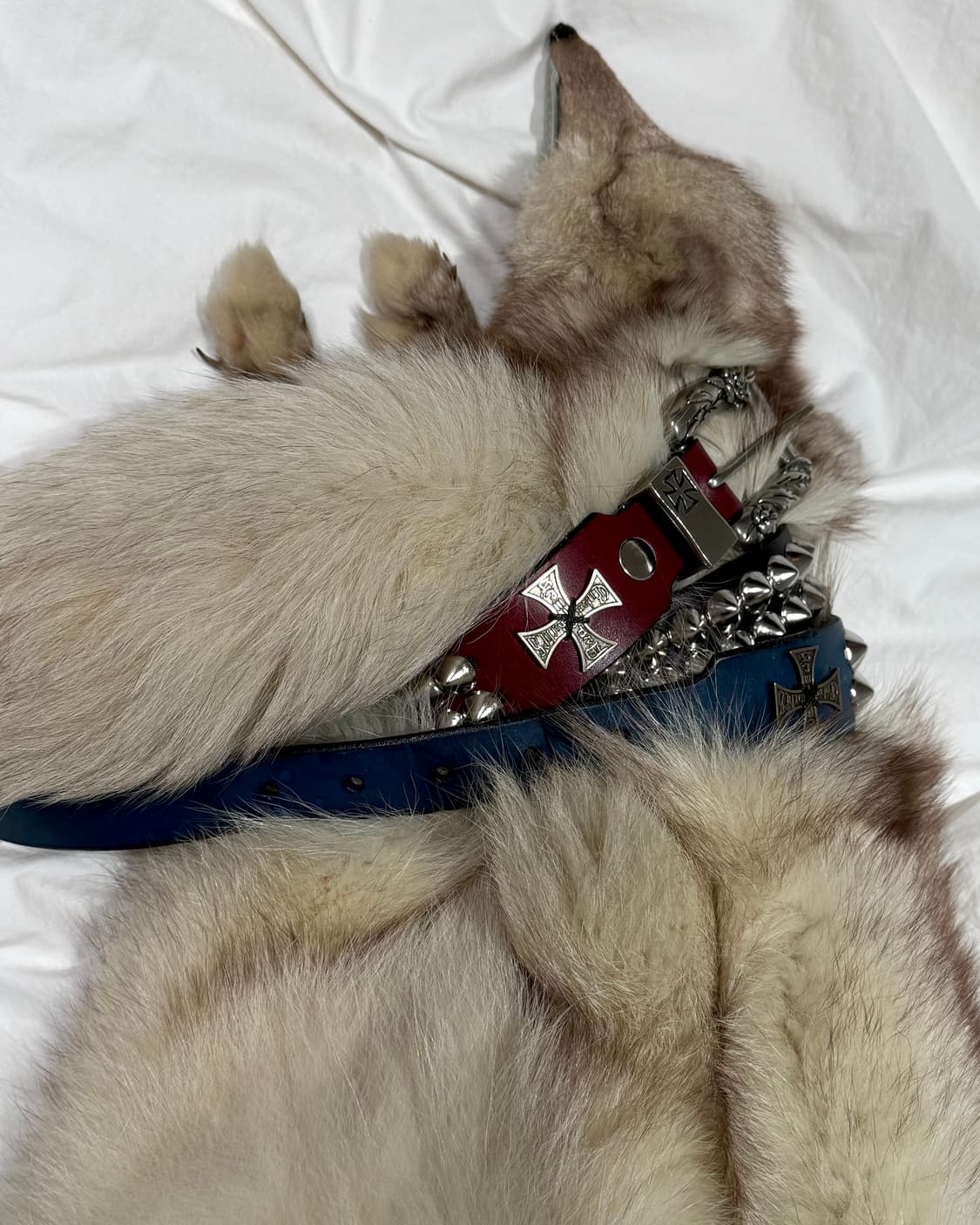 결제창  상품이미지1