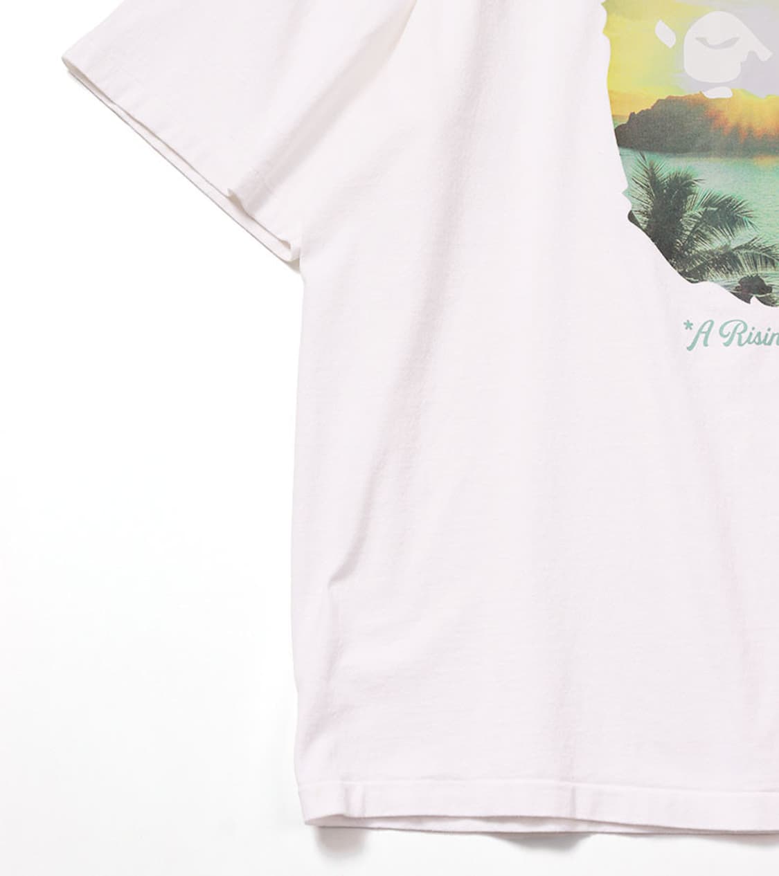 BAPE - A RISING BAPE PHOTO T SHIRT 상품이미지5