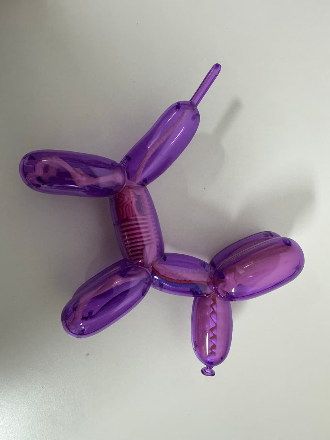 제이슨프리니 제프쿤스 4d마스터 벌룬독 아트토이 라지,스몰 세트 상품이미지4