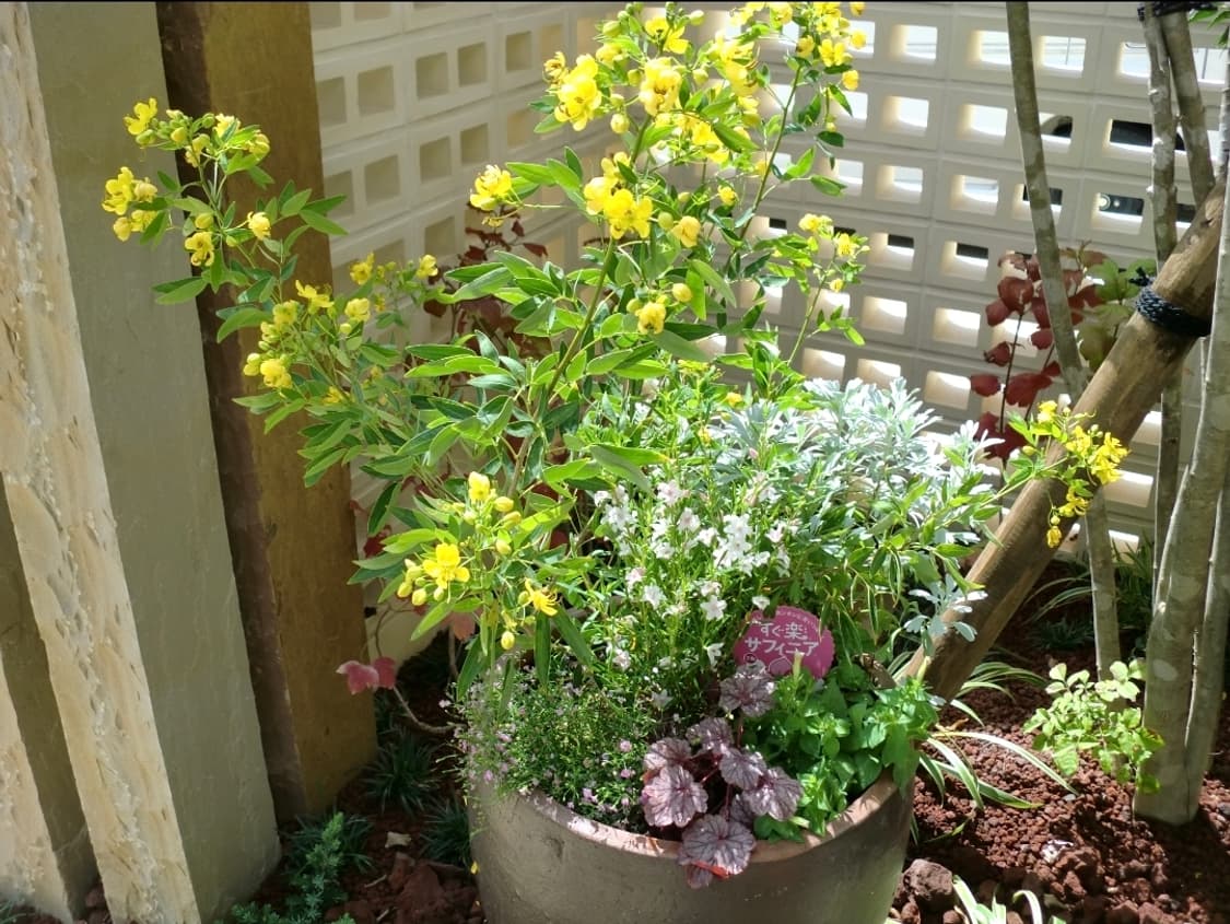 🩷메이크업모드ㆍ하트포커스✨ 카시오 EXILIM Z330 핑크 ✨ 상품이미지10