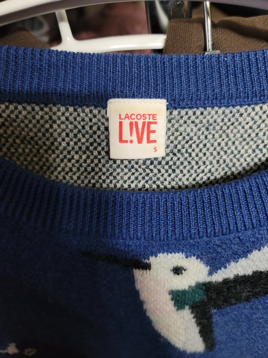 라코스테 니트 상품이미지2