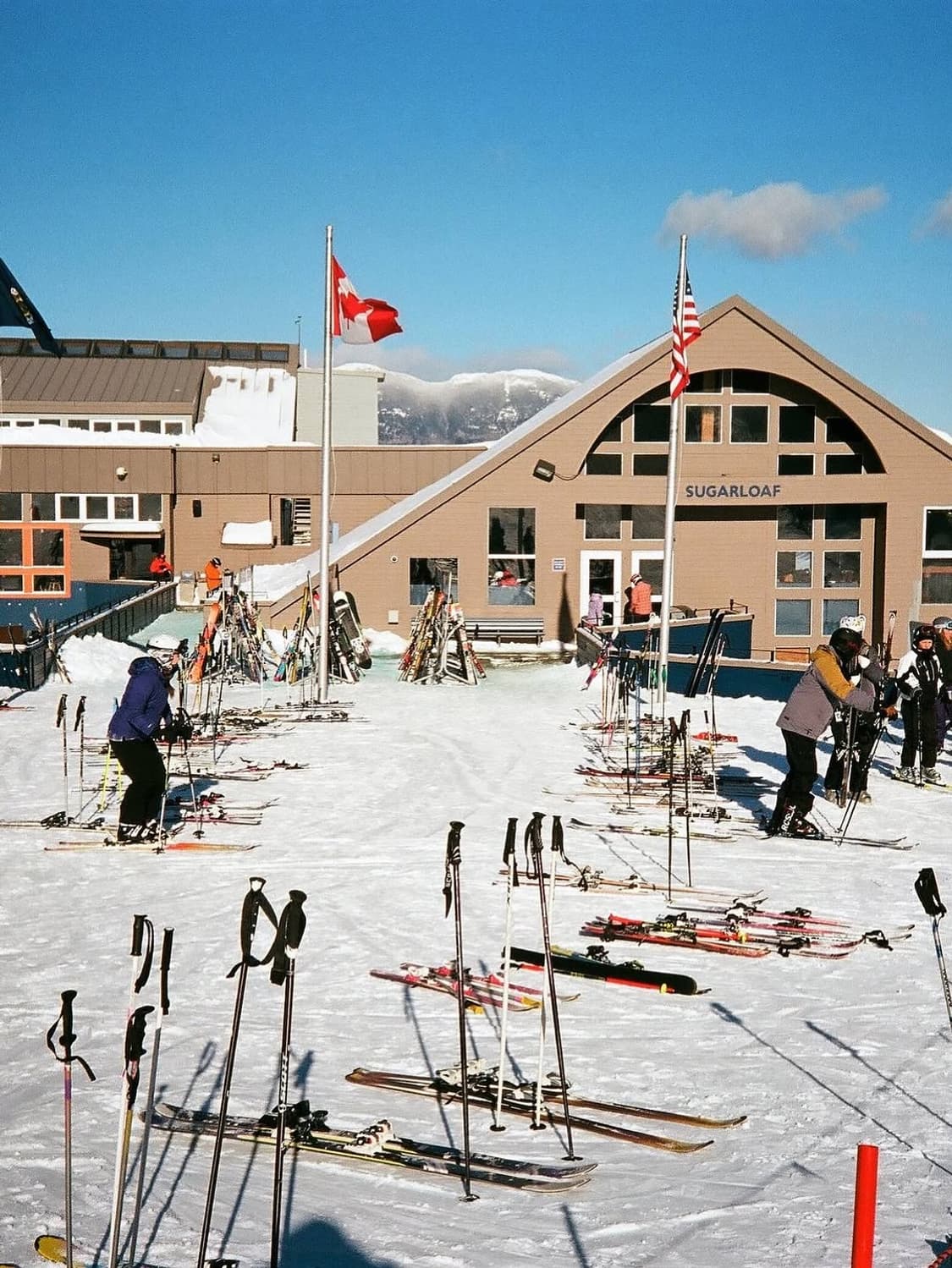 올림푸스 오 프로덕트 한정판 상품이미지6