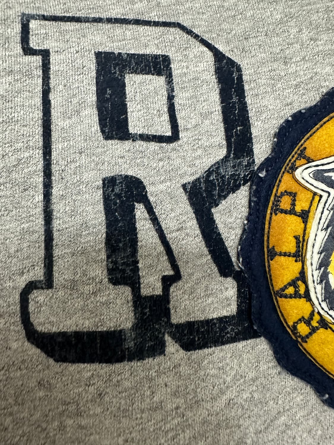 폴로 타이거 후드티 상품이미지4