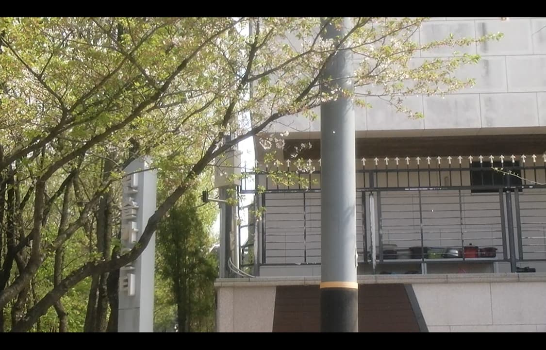 빈티지 디카 캠코더 산요 작티 DMX-CS1 / 작례있음 상품이미지7