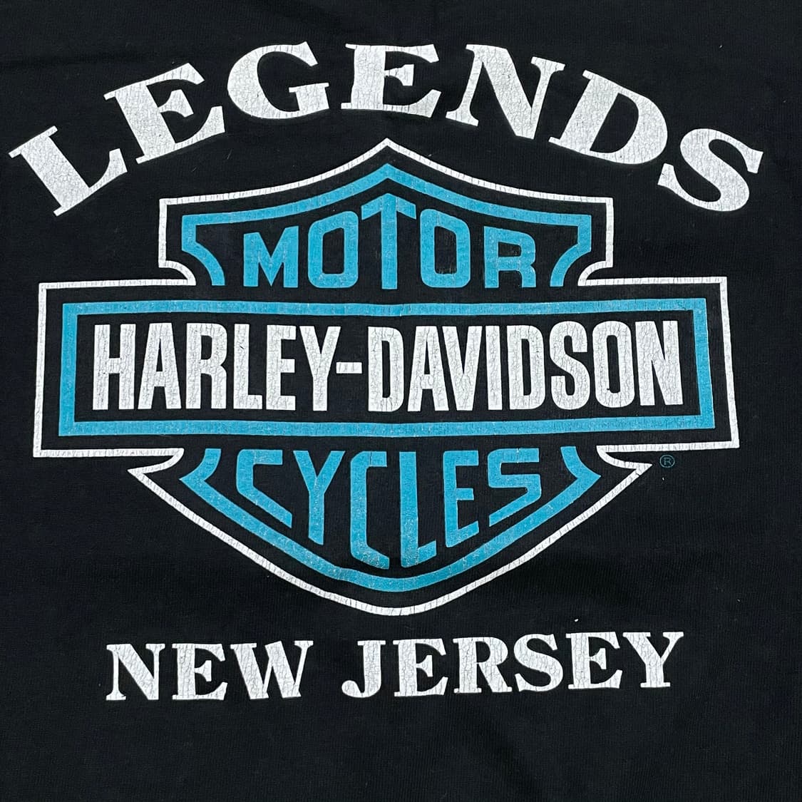 [M] 할리데이비슨 실드로고 블루 플레임 롱슬리브 상품이미지4