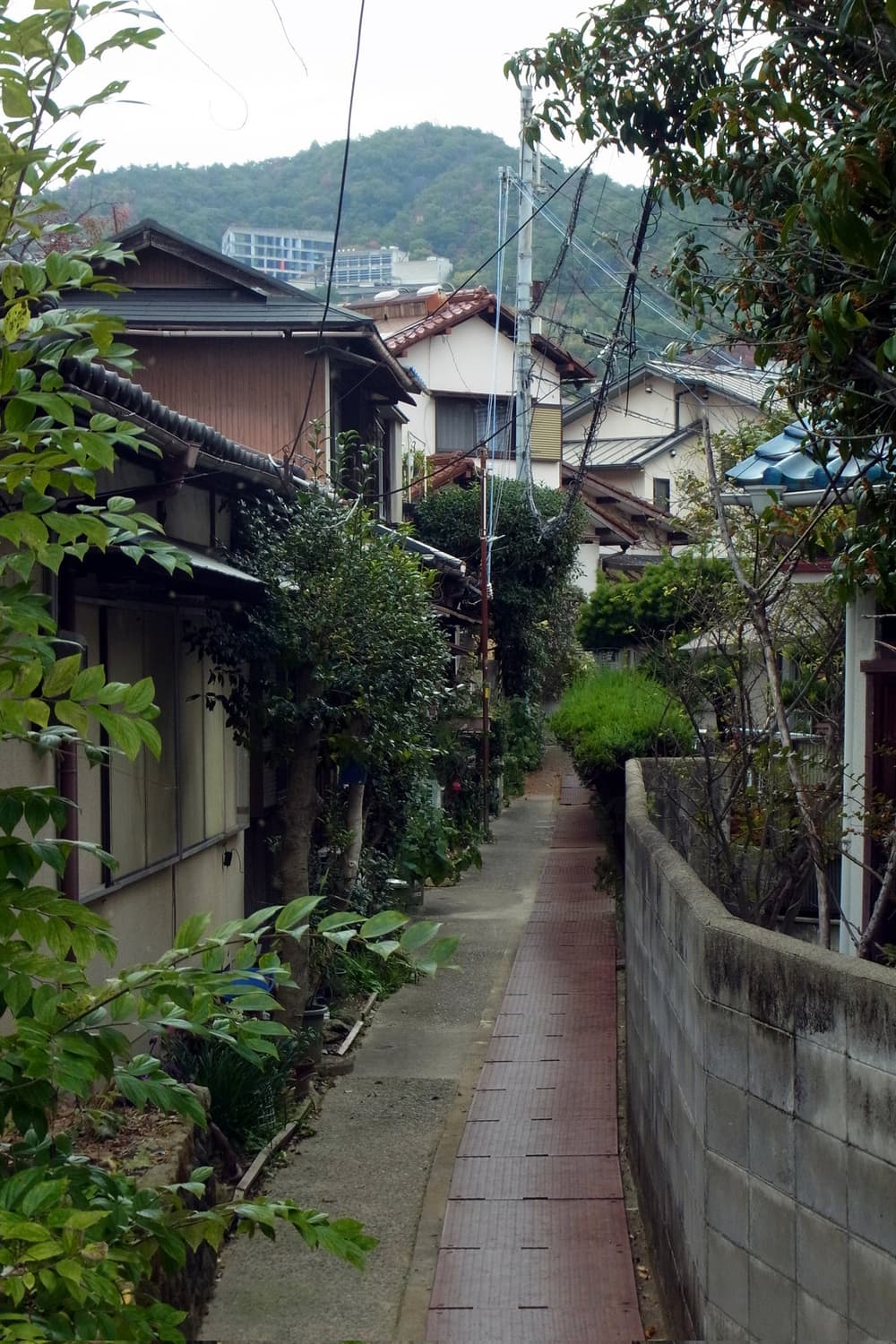 미품급) (장원영!) 리코 cx5(ricoh CX5) 핑크 상품이미지5