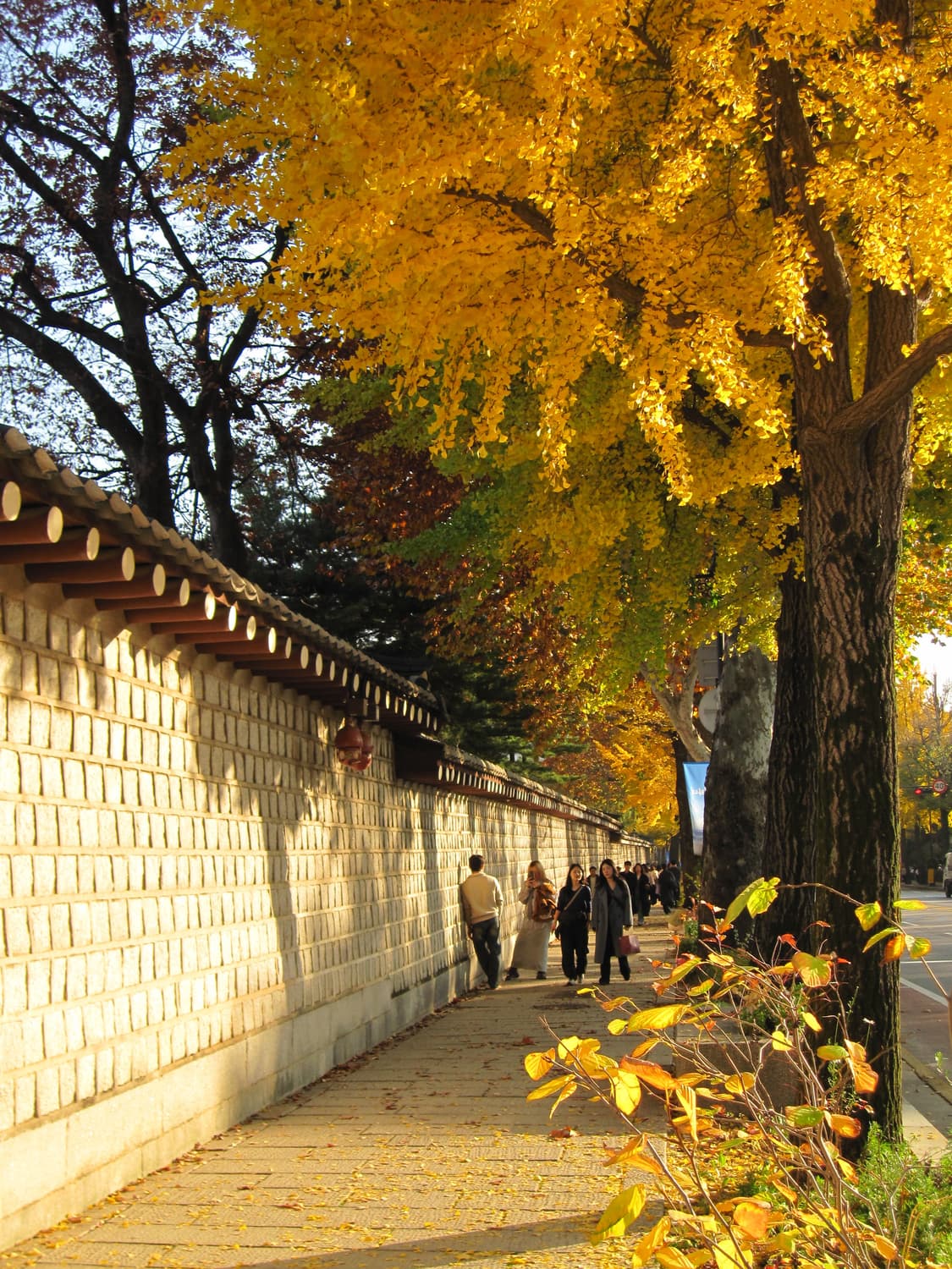 캐논 ixus 110 IS 한국어지원 상품이미지7