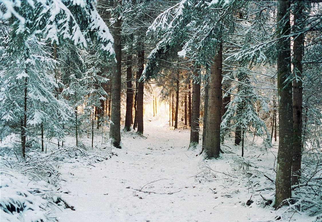 작례O 한정판 크로이쯔나크 제논 케녹스 gx-1 필름카메라 빈티지 필카 상품이미지4