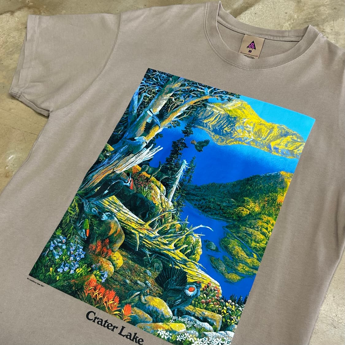 나이키 ACG 프린트 반팔티  상품이미지2