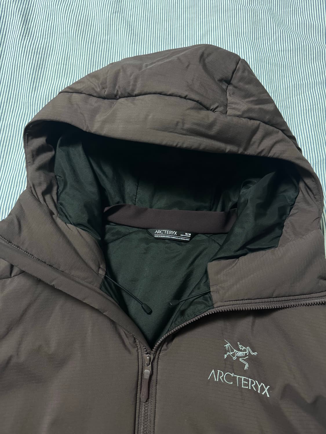 아크테릭스 아톰 AR 후디 피그먼트  상품이미지7