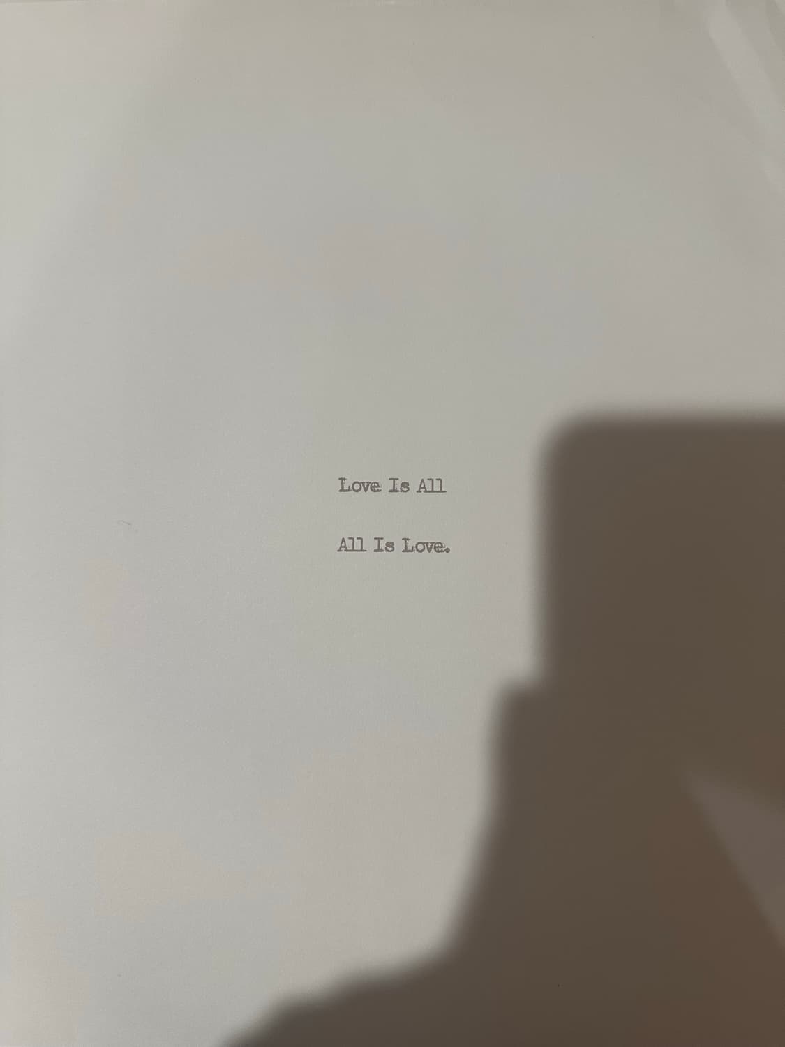 검정치마 팀베이비 엘피 team baby lp 상품이미지2