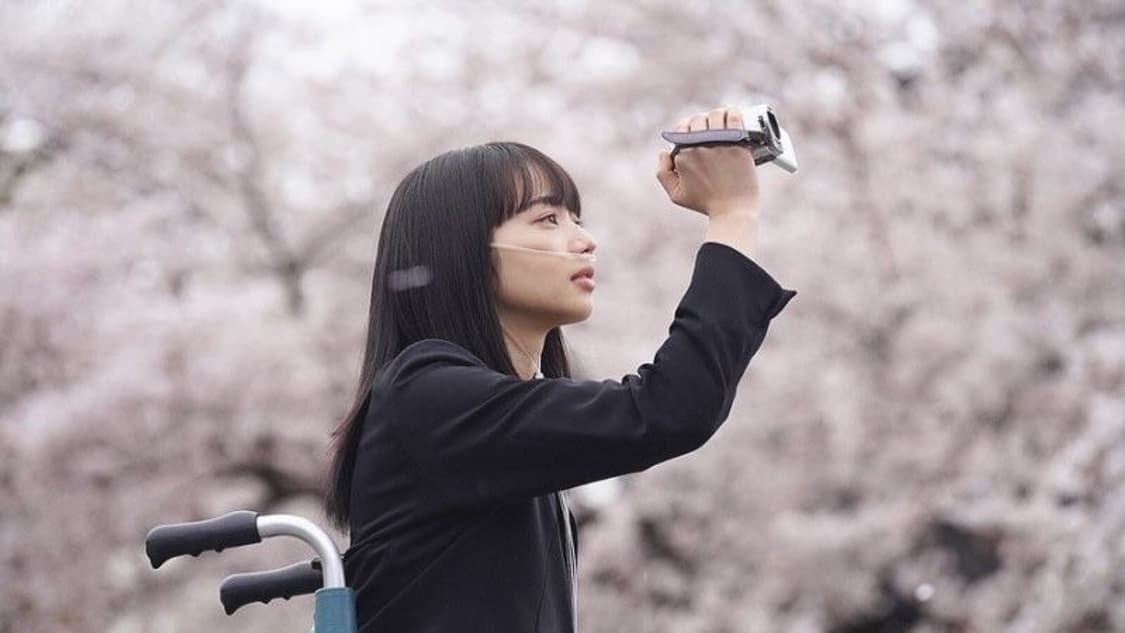 파나소닉 tm 35 남은인생 10년 고마츠나나 상품이미지5