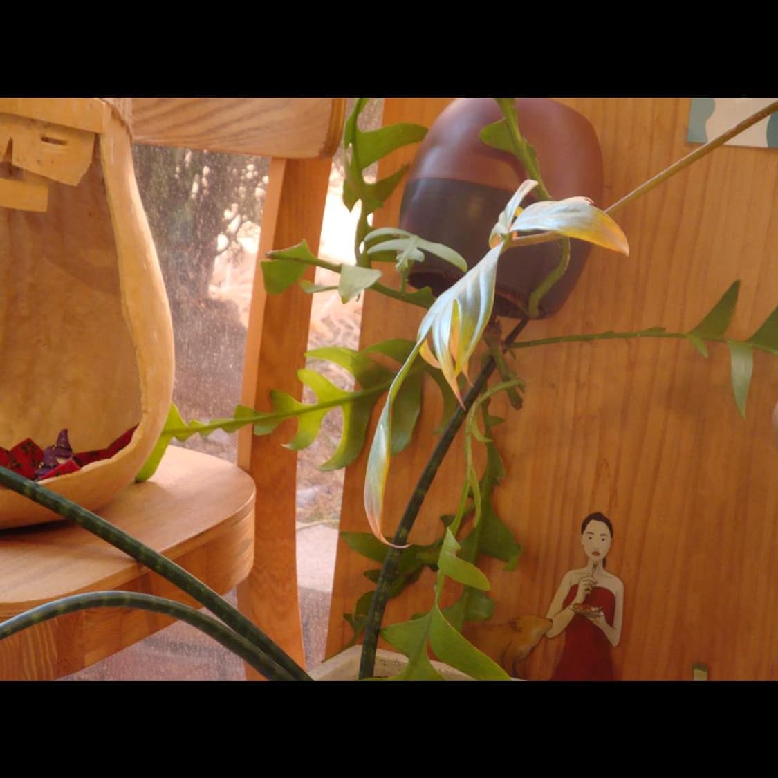 작례⭕️  사이버샷 DSC-W170 상품이미지9