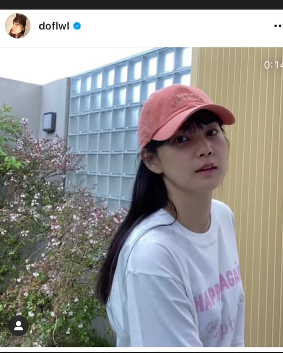 셀로판 볼캡 살구 오렌지 상품이미지6