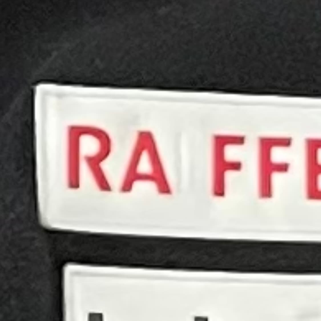 데상트 스위스 스키팀 플리스 자켓 상품이미지4