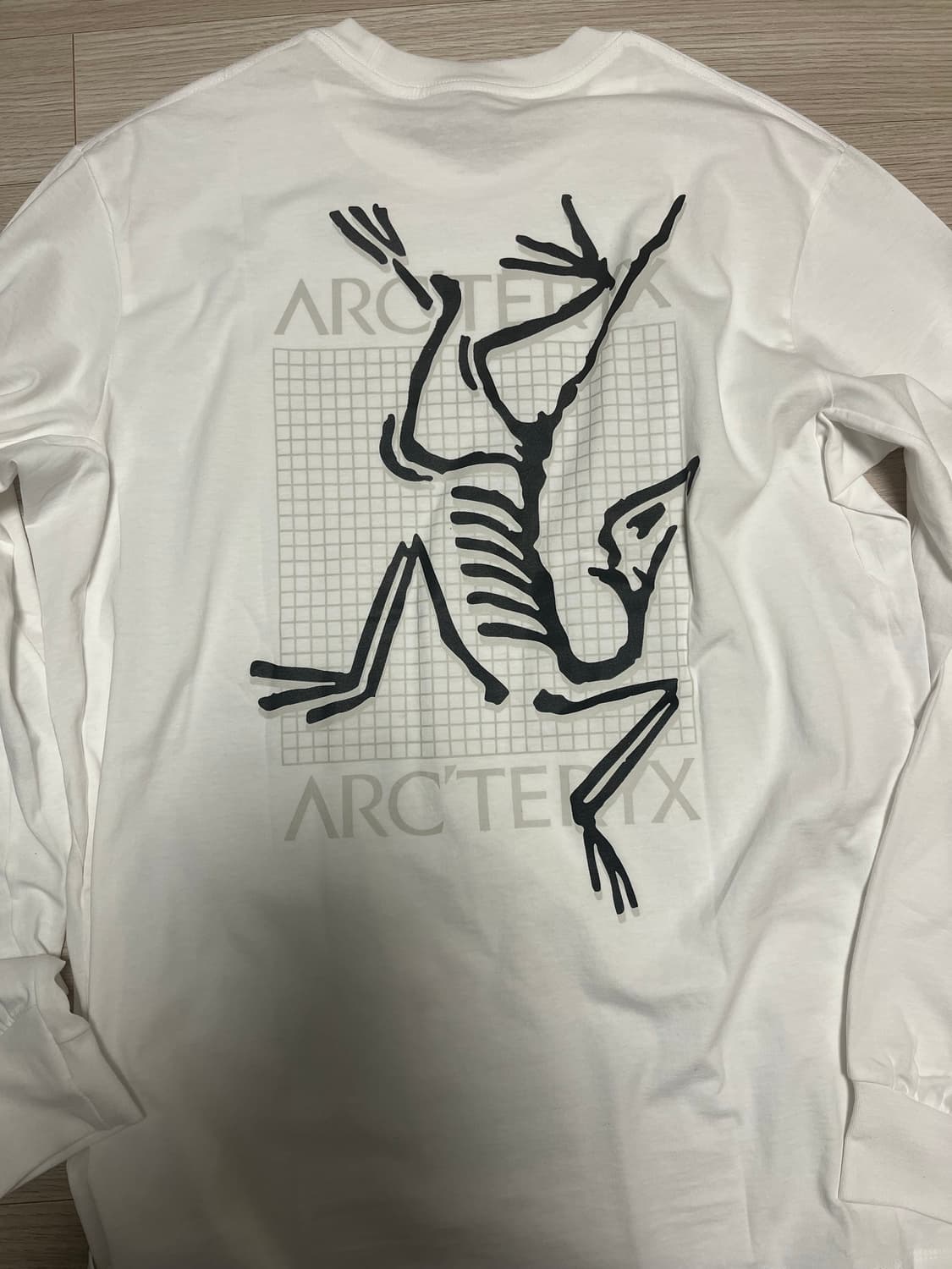 아크테릭스 아크멀디 버그로고 롱슬리브 M 상품이미지1