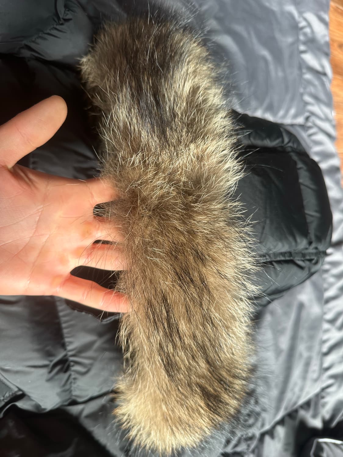 몽클레어 클루니  상품이미지2