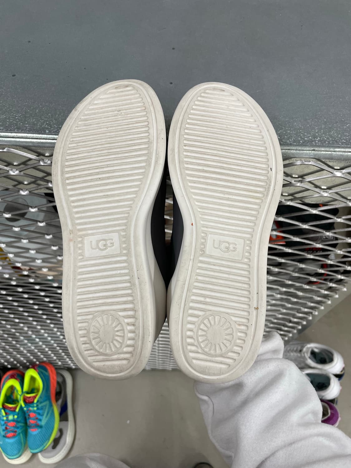 어그 뉴트라 스니커즈 그레이 230 상품이미지6