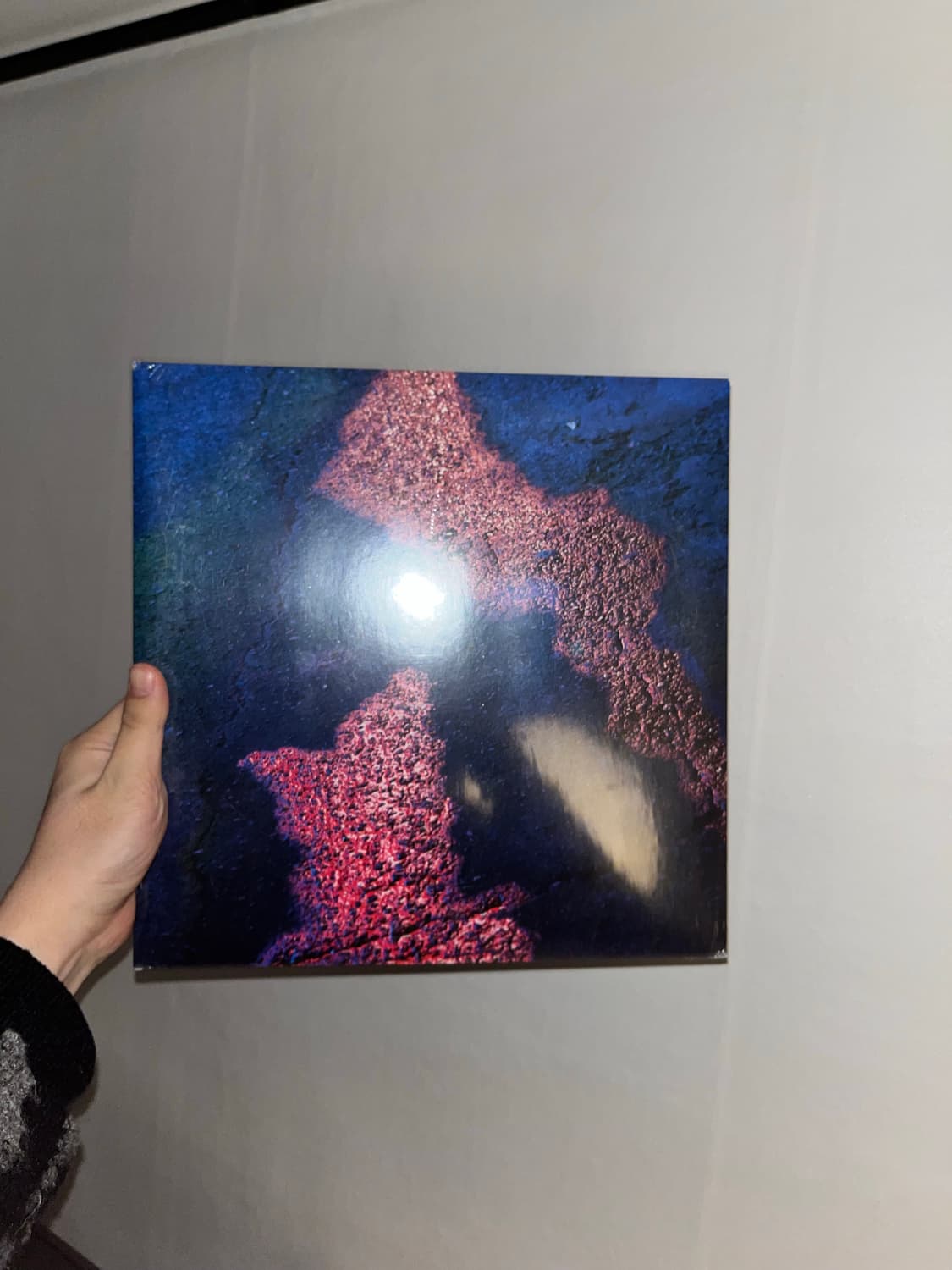 신해경 나의 가역반응 LP 2017 초판 미개봉 상품이미지1