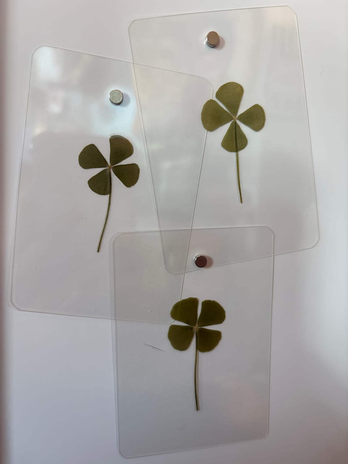 네잎클로버 3개 상품이미지1